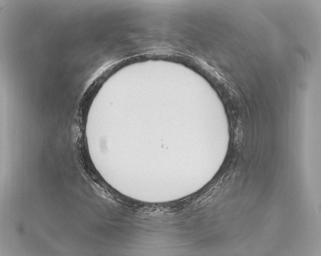 X0000115351400200912011042