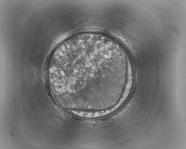 X0000115351405200912011042