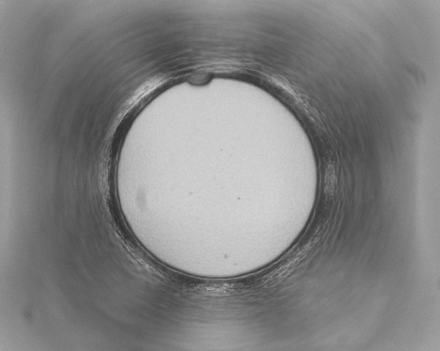 X0000115351410200912011042