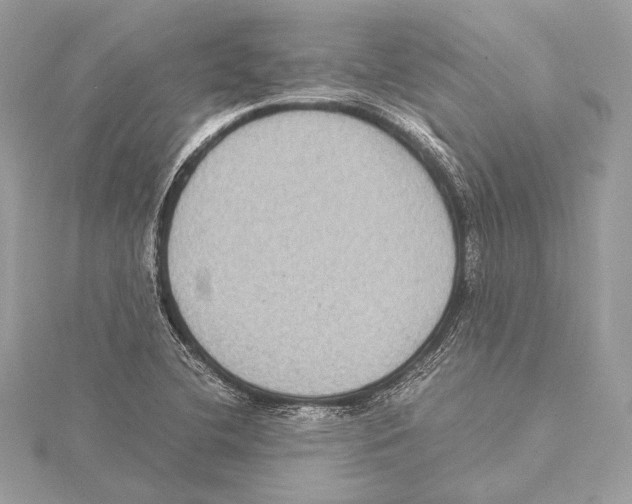 X0000115351412200912011042