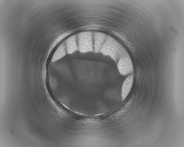 X0000115351418200912011042