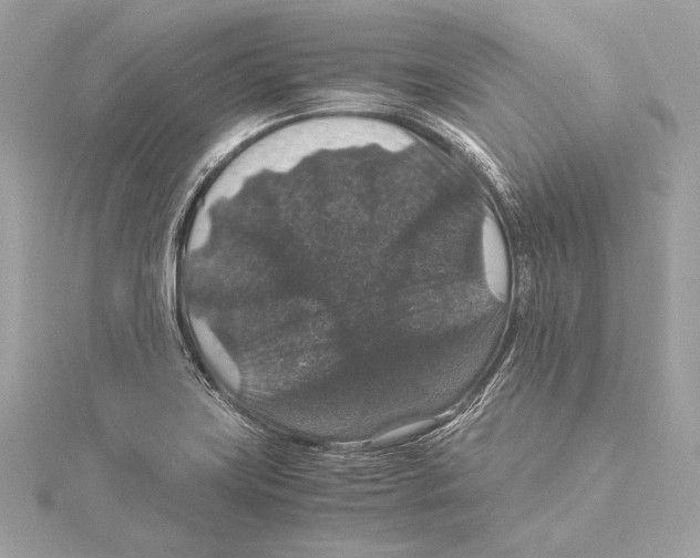 X0000115351419200912011042