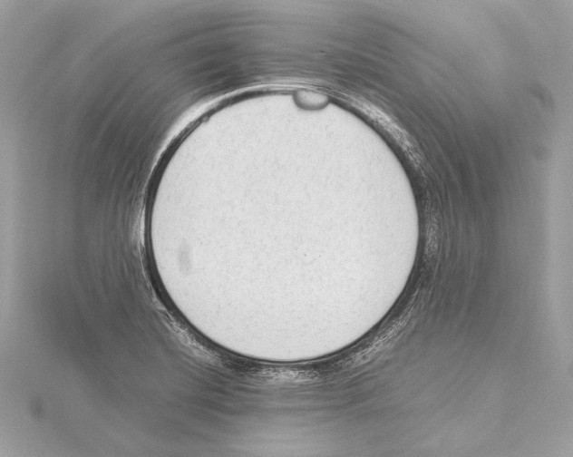 X0000115351420200912011042