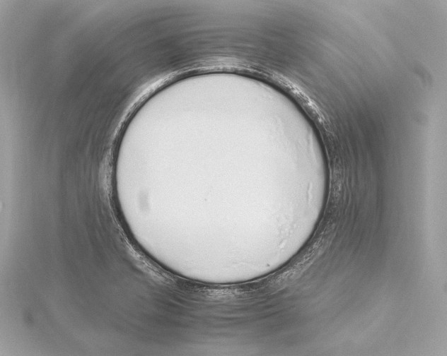 X0000115351421200912011042
