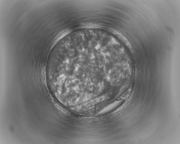X0000115351425200912011042