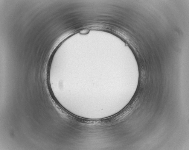 X0000115351426200912011042