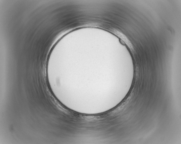 X0000115351436200912011042