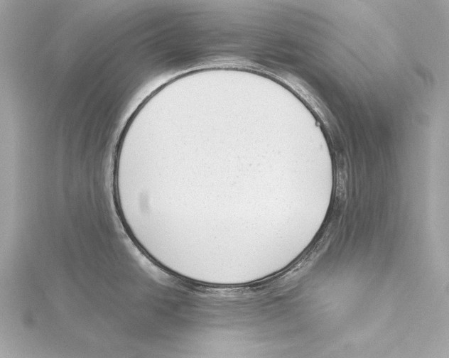 X0000115351438200912011042