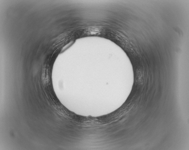 X0000115351442200912011042