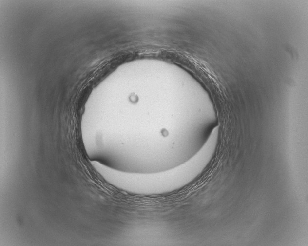 X0000115351445200912011042