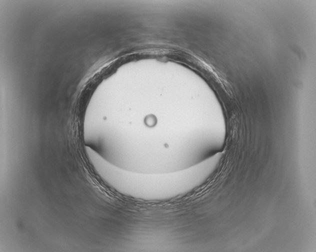 X0000115351448200912011042