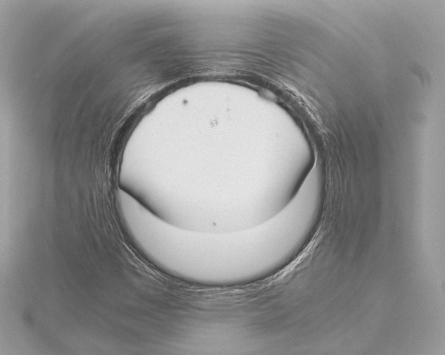 X0000115351449200912011042