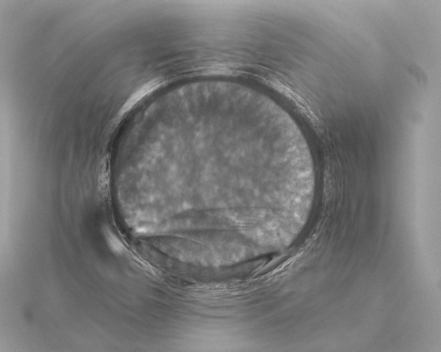 X0000115351450200912011042