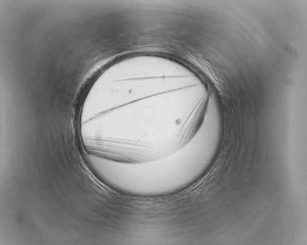 X0000115351452200912011042