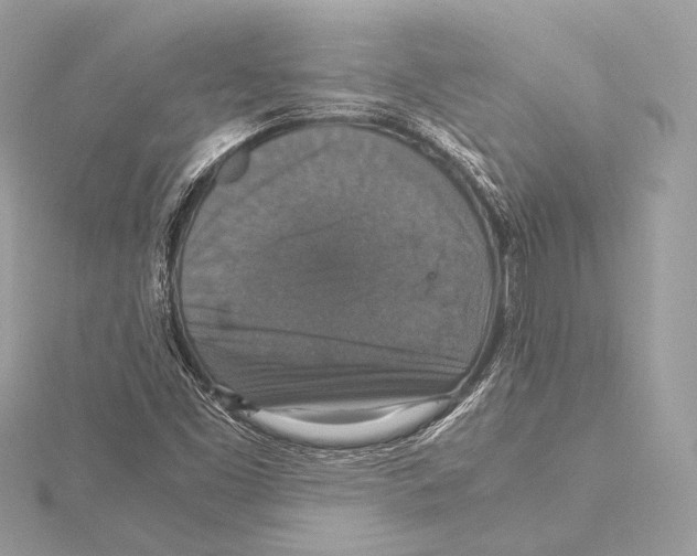 X0000115351453200912011042