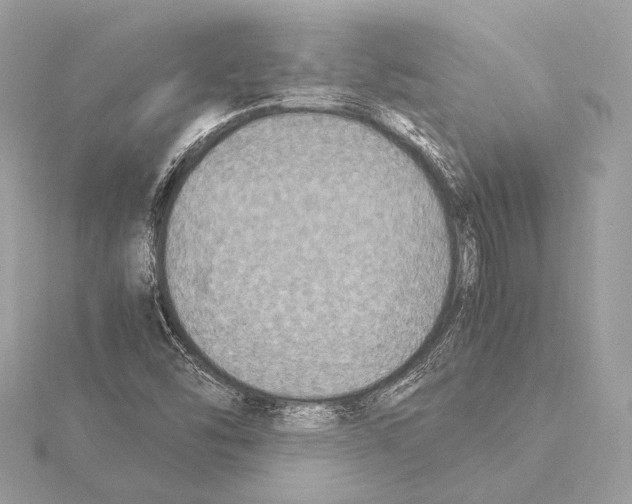 X0000115351454200912011042