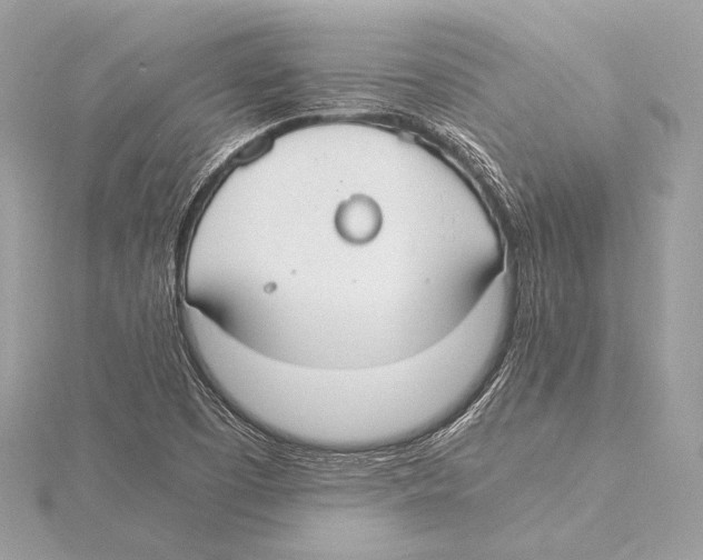 X0000115351457200912011042