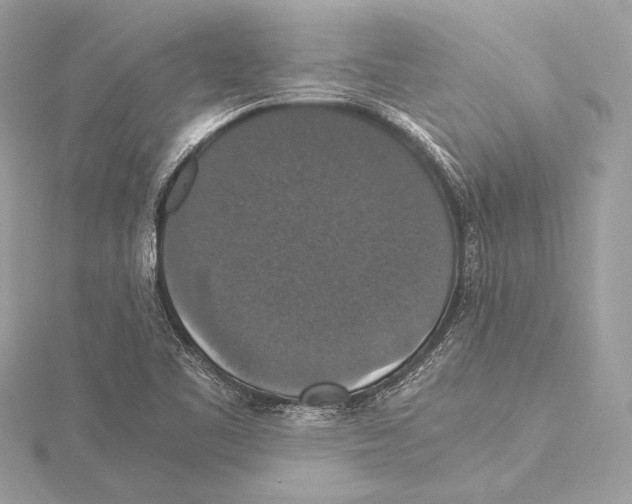 X0000115351461200912011041
