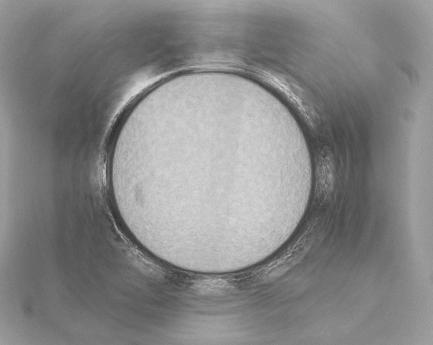 X0000115351462200912011041