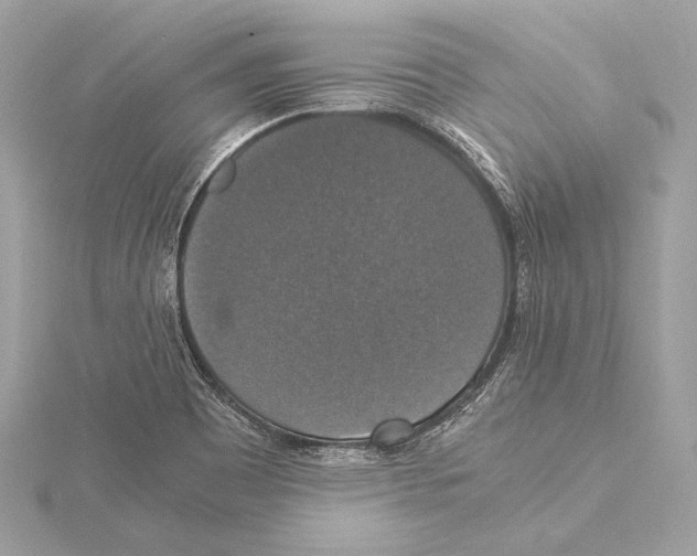 X0000115351465200912011041