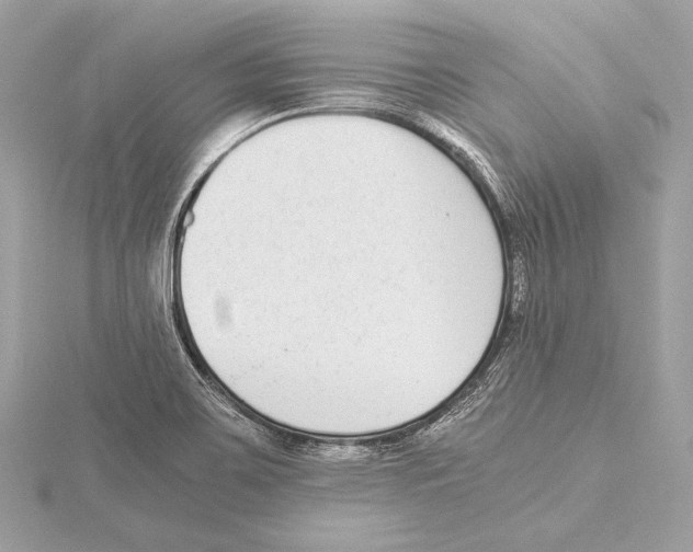 X0000115351467200912011041