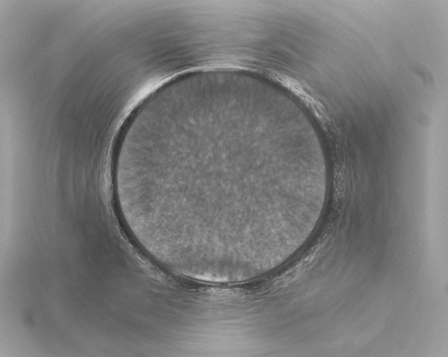 X0000115351469200912011041