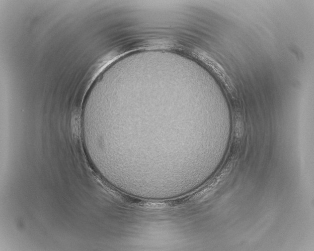 X0000115351473200912011041