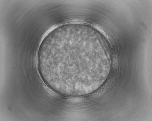 X0000115351474200912011041
