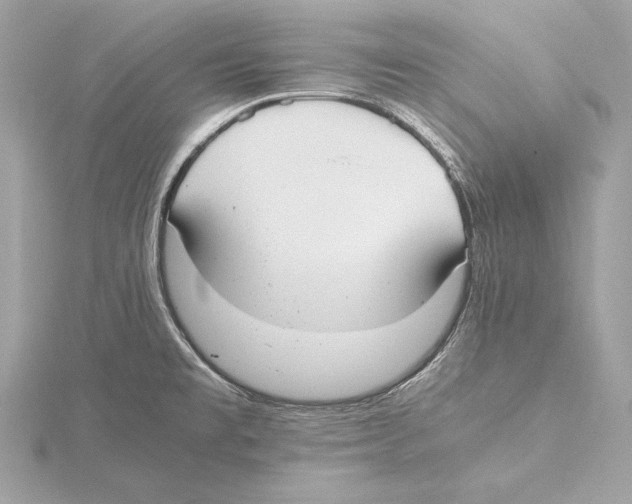 X0000115351477200912011041