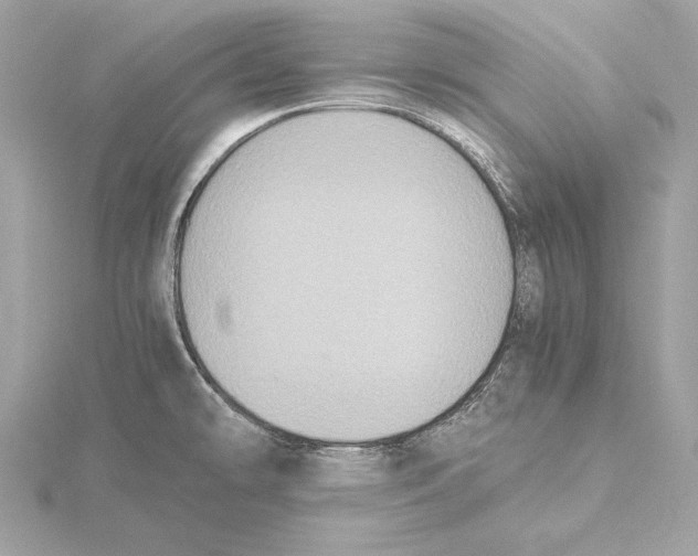 X0000115351478200912011041