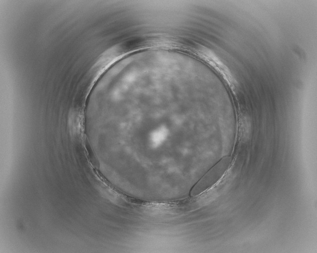 X0000115351481200912011041