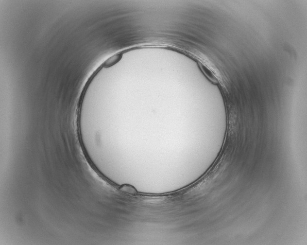 X0000115351484200912011041
