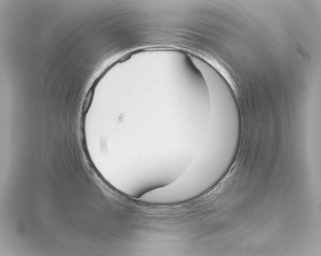 X0000115351485200912011041