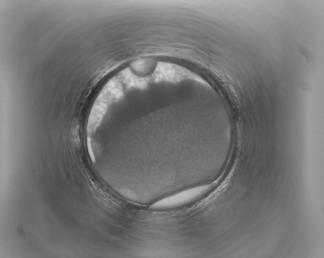 X0000115351497200912011040