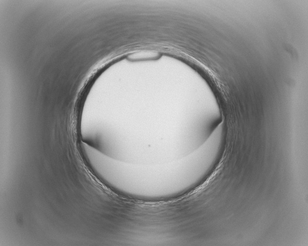X0000115351506200912011041
