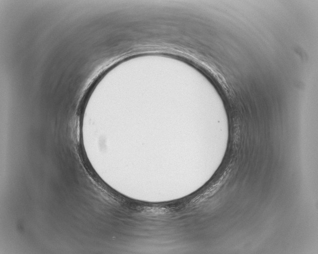 X0000115351509200912011041