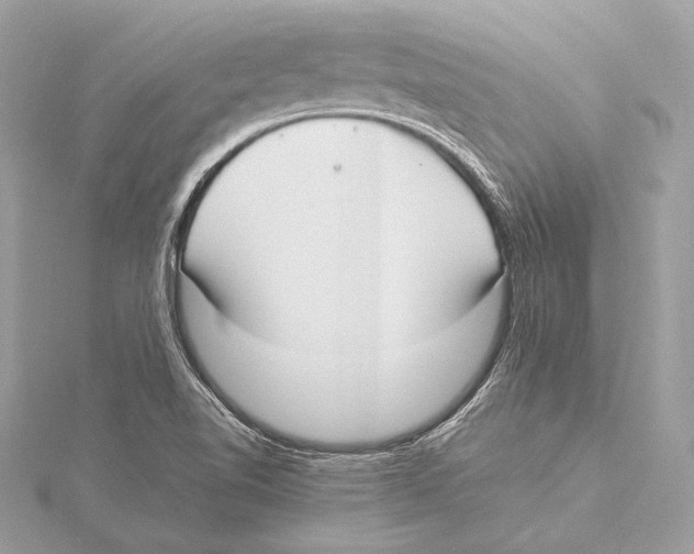 X0000115351510200912011041
