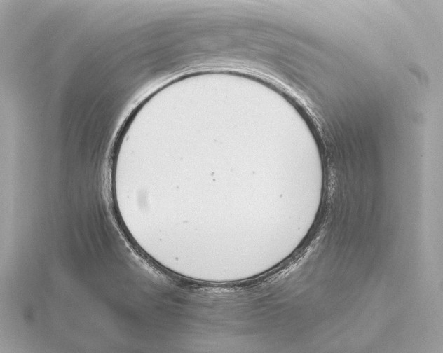 X0000115351517200912011041