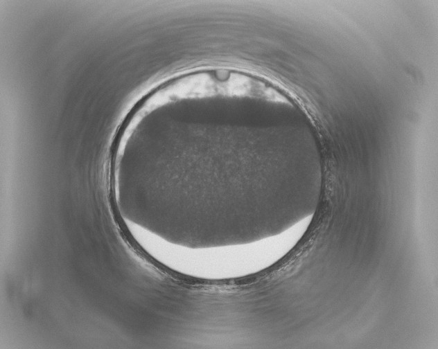X0000115351519200912011041
