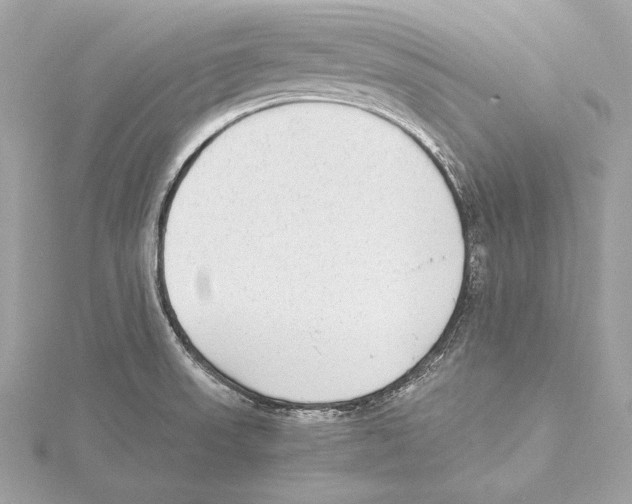 X0000115351523200912011041