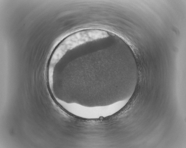 X0000115351527200912011041