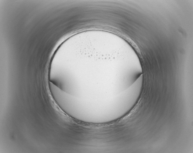 X0000115351530200912011041