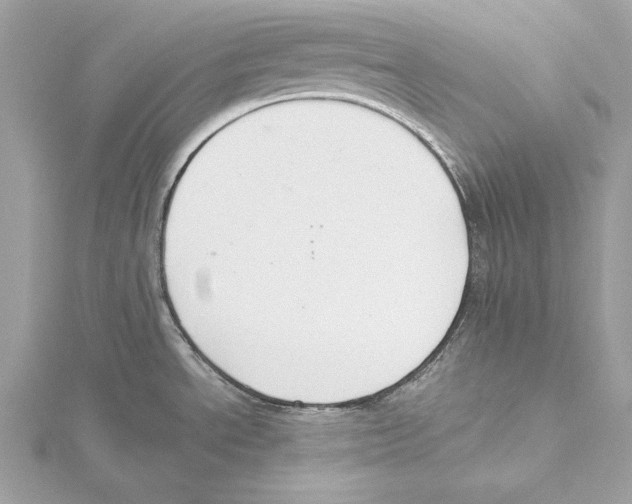 X0000115351534200912011041