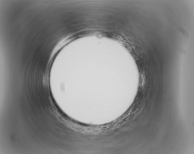 X0000115350004200912151346