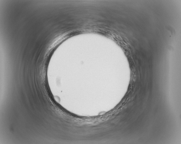 X0000115350005200912151346