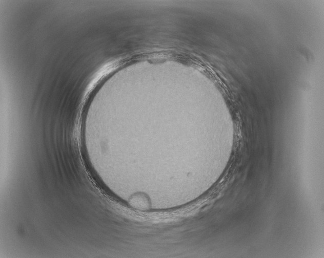 X0000115350006200912151346