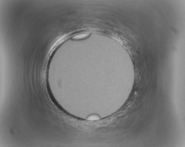 X0000115350007200912151346