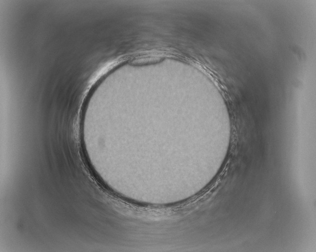 X0000115350008200912151346