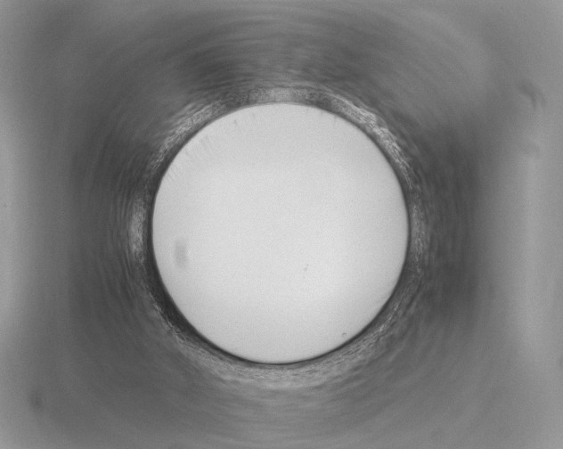 X0000115350010200912151346