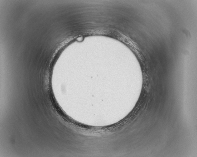 X0000115350012200912151346